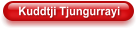 Kuddtji Tjungurrayi